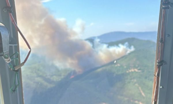 Bergama'da orman yangını!